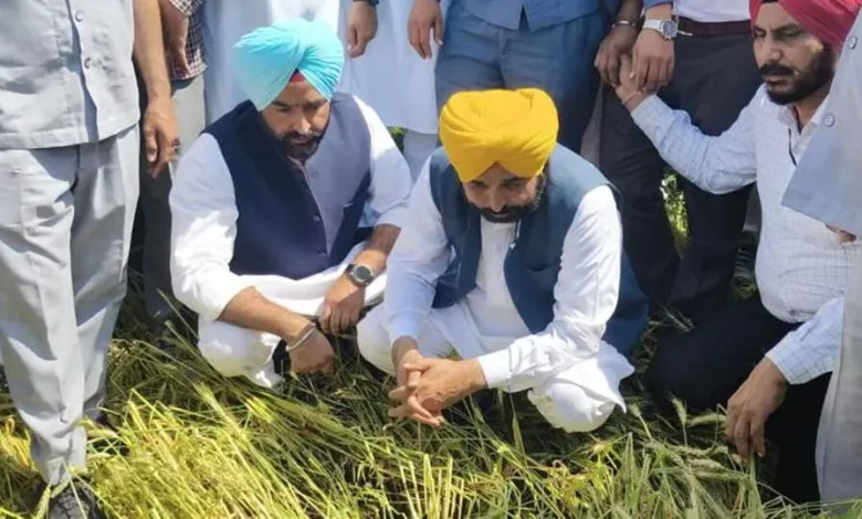 पंजाब मुख्यमंत्री के ध्यान में है हर किसान, समस्याओं का हो रहा तुरंत समाधान: “अपना CM – अपने खेता विच” - जब मुख्यमंत्री खुद खेतों में पहुंचकर सुलझाते है किसानों की समस्याएं