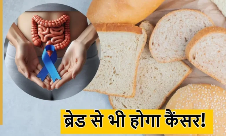 क्या ब्रेड खाने से होता है कैंसर? जानें हेल्थ एक्सपर्ट की राय