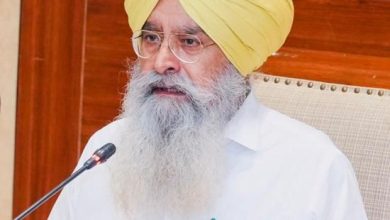 पंजाब सरकार का फसल विविधीकरण मिशन: ' पंजाब में 16.27% बढ़ा खरीफ मक्का का रकबा' 1,00,000 हेक्टेयर का आंकड़ा पार।