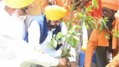 पिछली सरकारों की 20 साल की लापरवाही पर लगाम, AAP सरकार ने बढ़ाया पंजाब का ट्री कवर 177.22 वर्ग किमी!