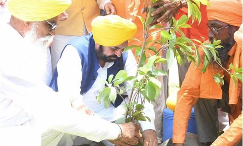 पिछली सरकारों की 20 साल की लापरवाही पर लगाम, AAP सरकार ने बढ़ाया पंजाब का ट्री कवर 177.22 वर्ग किमी!