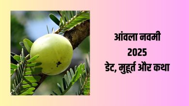 Amla Navami 2025: 30 या 31 अक्टूबर? जानिए सतयुग से जुड़े इस पर्व का धार्मिक महत्व