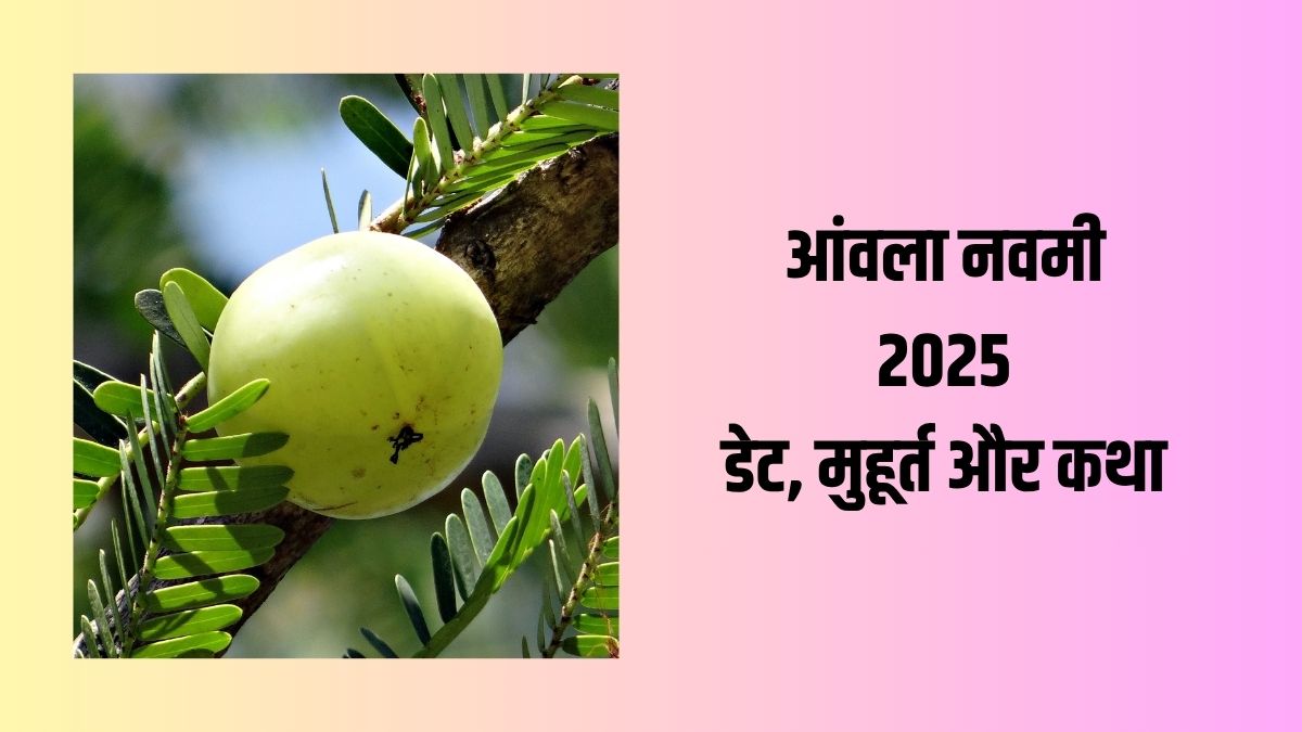 Amla Navami 2025: 30 या 31 अक्टूबर? जानिए सतयुग से जुड़े इस पर्व का धार्मिक महत्व 12 Amla Navami 2025: 30 या 31 अक्टूबर? जानिए सतयुग से जुड़े इस पर्व का धार्मिक महत्व