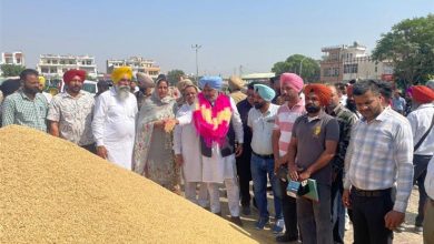 हरपाल सिंह चीमा: पंजाब को बाढ़ से बचाने के लिए रावी, सतलुज और ब्यास नदियों की सफाई की जाएगी