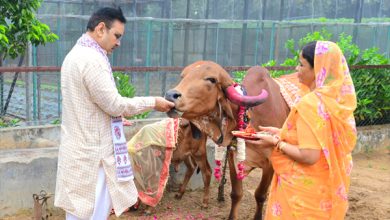 मुख्यमंत्री श्री भजनलाल शर्मा ने मुख्यमंत्री निवास पर किया गौ-पूजन- गोपाष्टमी पर प्रदेश के कल्याण एवं सुख-समृद्धि की कामना की