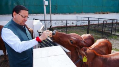 गोवर्धन पूजा पर मुख्यमंत्री पुष्कर सिंह धामी ने गौ माता की पूजा-अर्चना कर प्रदेश की खुशहाली और समृद्धि की कामना की