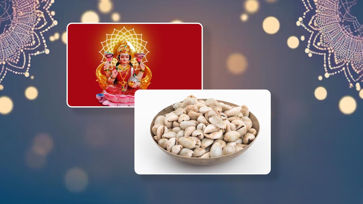 दिवाली और धनतेरस पर कौड़ी का महत्व: जानें क्यों खरीदें कौड़ी और कहां रखें धन-समृद्धि के लिए