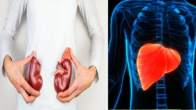 लीवर और किडनी को नेचुरल तरीके से करें डिटॉक्स, अपनाएं ये देसी ड्रिंक्स – पेट की गंदगी होगी साफ, शरीर होगा हल्का