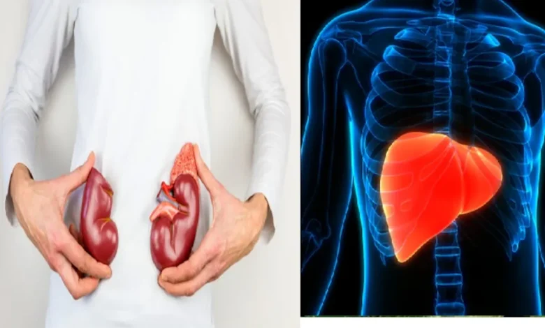 लीवर और किडनी को नेचुरल तरीके से करें डिटॉक्स, अपनाएं ये देसी ड्रिंक्स – पेट की गंदगी होगी साफ, शरीर होगा हल्का 1 लीवर और किडनी को नेचुरल तरीके से करें डिटॉक्स, अपनाएं ये देसी ड्रिंक्स – पेट की गंदगी होगी साफ, शरीर होगा हल्का