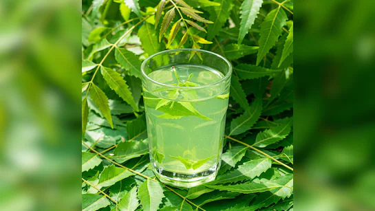 हर रोज पिएं नीम के पत्तों का पानी, लिवर होगा नेचुरली डिटॉक्स, मिलेंगे कई जबरदस्त फायदे