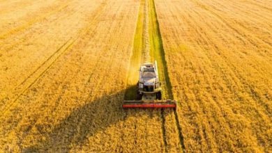 पंजाब में पराली जलाने की घटनाएं 75% घटी, फिर भी भाजपा और दिल्ली सरकार के निशाने पर पंजाब का किसान क्यों?