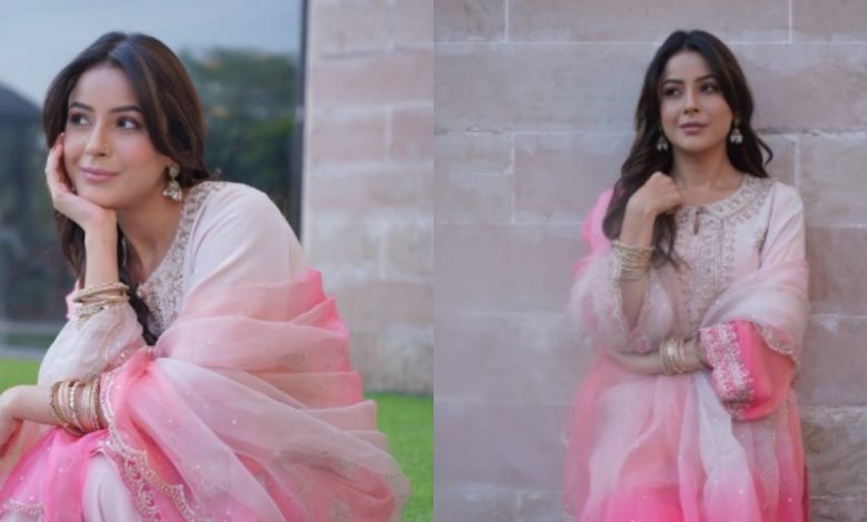 शहनाज गिल को क्यों लेनी पड़ रही है थेरेपी? नाम और शोहरत के बावजूद नहीं मिल रहा चैन