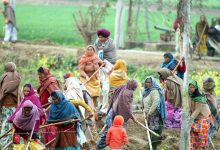 Punjab, MNREGA, historic reform, full wages, home work,