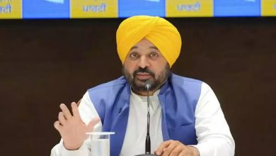 पंजाब: अब नौकरी माँगने नहीं, देने पर फोकस — CM मान की 'बिज़नेस क्लास' ने पंजाब को बनाया 'स्टार्टअप स्टेट'! डिग्री के साथ कमाई' की गारंटी