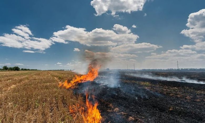 केंद्र सरकार ने की मान सरकार की सराहना, पंजाब सरकार की सफ़लता, किसानों के सहयोग से पराली जलाने में 85% की हुई ऐतिहासिक गिरावट