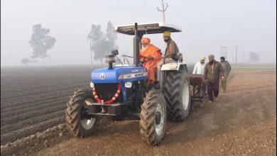 पंजाब: मिसाल बने आप सांसद! खुद ट्रैक्टर लेकर पहुंचे बाढ़ प्रभावित खेतों में, किसानों के साथ मिलकर बना रहे ज़मीन को खेती लायक