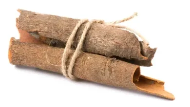 अर्जुन की छाल के 5 स्वास्थ्य लाभ: इन बीमारियों से दिलाए छुटकारा