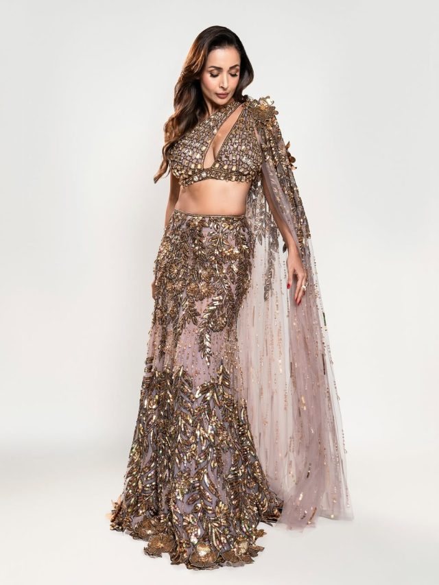 मलाइका को फिर हुआ प्यार, 17 साल छोटे मिस्ट्री मैन संग आई नजर, कौन है ये शख्स?