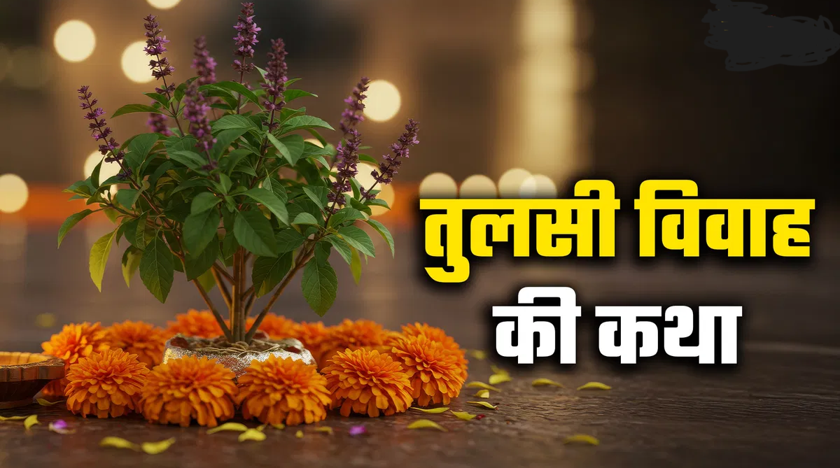 तुलसी विवाह 2025 कथा: जानिए क्यों भगवान विष्णु को देना पड़ा तुलसी से विवाह का वरदान