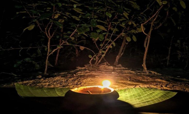 तुलसी में दीपक जलाने के आसान उपाय: घर में बरसेगी लक्ष्मी कृपा और दूर होंगी सारी परेशानियां