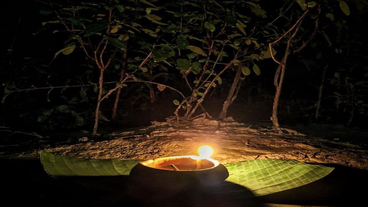 तुलसी में दीपक जलाने के आसान उपाय: घर में बरसेगी लक्ष्मी कृपा और दूर होंगी सारी परेशानियां