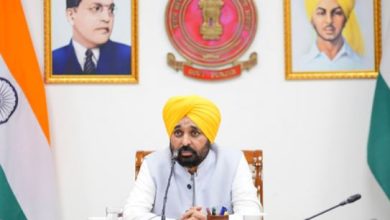 CM Bhagwant Mann ने PU Senate मामले पर केंद्र को दी चेतावनी! बोले- 'पंजाबियों को...'