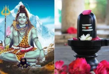 मार्गशीर्ष अमावस्या 2025: शिवलिंग पर अर्पित करें ये चीजें, चमक उठेगी किस्मत