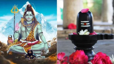 मार्गशीर्ष अमावस्या 2025: शिवलिंग पर अर्पित करें ये चीजें, चमक उठेगी किस्मत
