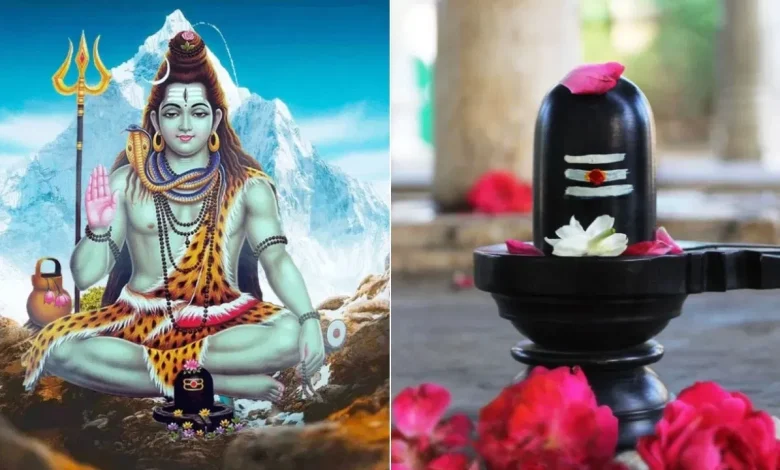 मार्गशीर्ष अमावस्या 2025: शिवलिंग पर अर्पित करें ये चीजें, चमक उठेगी किस्मत