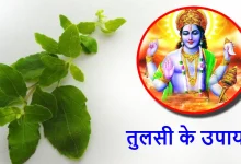मोक्षदा एकादशी 2025: तुलसी से जुड़ी ये गलतियां न करें, वरना माता लक्ष्मी रुठ सकती हैं