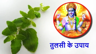 मोक्षदा एकादशी 2025: तुलसी से जुड़ी ये गलतियां न करें, वरना माता लक्ष्मी रुठ सकती हैं