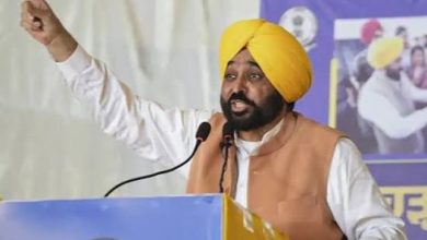 मान सरकार ने खत्म किया पिछली सरकारों का 'माफिया राज'! अरबों की सरकारी ज़मीन पर 3 बड़े प्रोजेक्ट शुरू, खुले रोज़गार और तरक्की के रास्ते