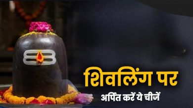 Mokshada Ekadashi 2025: मोक्षदा एकादशी पर शिवलिंग पर चढ़ाएं ये 5 चीजें, मिलेगा सुख-शांति और समृद्धि का आशीर्वाद