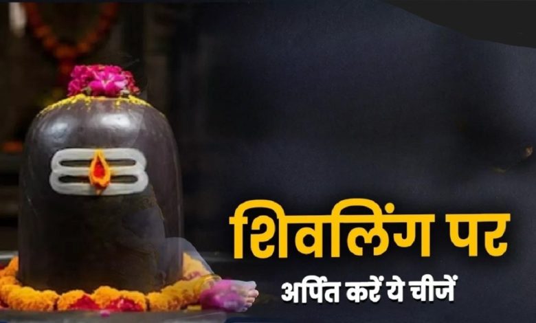 Mokshada Ekadashi 2025: मोक्षदा एकादशी पर शिवलिंग पर चढ़ाएं ये 5 चीजें, मिलेगा सुख-शांति और समृद्धि का आशीर्वाद