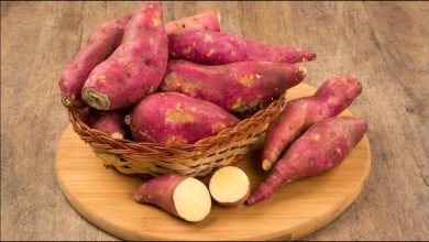 सर्दियों में शकरकंद खाने का सही तरीका और इसके अद्भुत फायदे