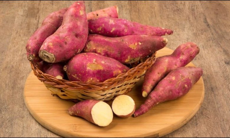 सर्दियों में शकरकंद खाने का सही तरीका और इसके अद्भुत फायदे