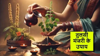 अगर तुलसी में दिखी मंजरी, तो करें ये 3 उपाय और पाएँ धन-सौभाग्य