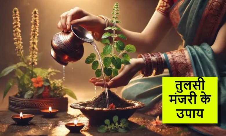 अगर तुलसी में दिखी मंजरी, तो करें ये 3 उपाय और पाएँ धन-सौभाग्य