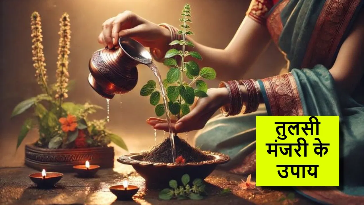 अगर तुलसी में दिखी मंजरी, तो करें ये 3 उपाय और पाएँ धन-सौभाग्य