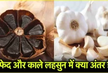 Black Garlic vs White Garlic: काले लहसुन और सफेद लहसुन में क्या है फर्क और फायदे