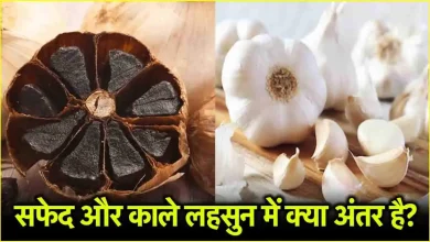 Black Garlic vs White Garlic: काले लहसुन और सफेद लहसुन में क्या है फर्क और फायदे