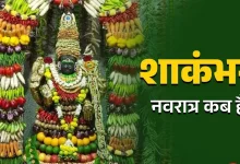 शाकंभरी नवरात्रि 2025: कब से कब तक, तिथि, महत्व और पूजा विधि