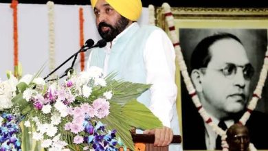 पंजाब सरकार का बड़ा फैसला: पंजाबी यूनिवर्सिटी को 30 करोड़ रुपये की सौगात, शिक्षा में नहीं आएगी बाधा- CM मान