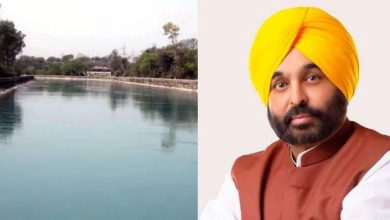 मान सरकार की पहल से किसानों में खुशी की लहर, दशकों बाद खेतों में पहुंचा नहरी पानी! सिंचाई बदलाव का रिकॉर्ड-तोड़ असर आया नज़र