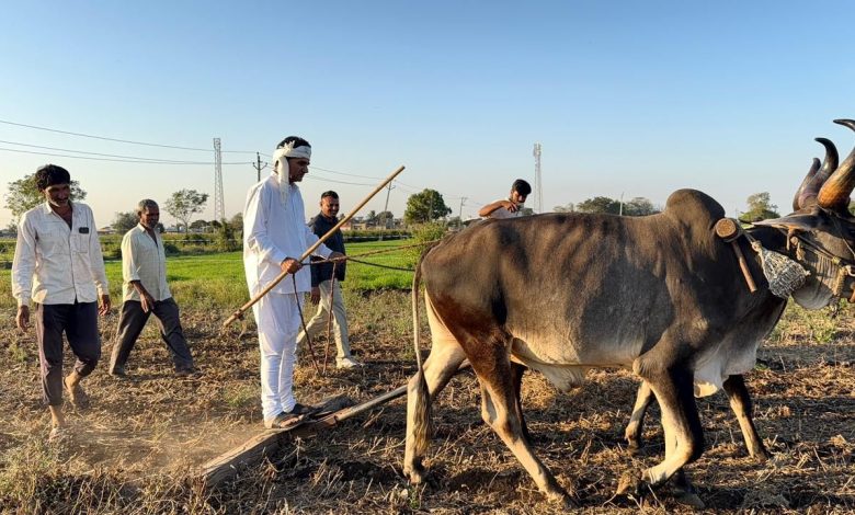 AAP नेता ईसुदान गढ़वी ने खेत जोतकर राष्ट्रीय किसान दिवस मनाया