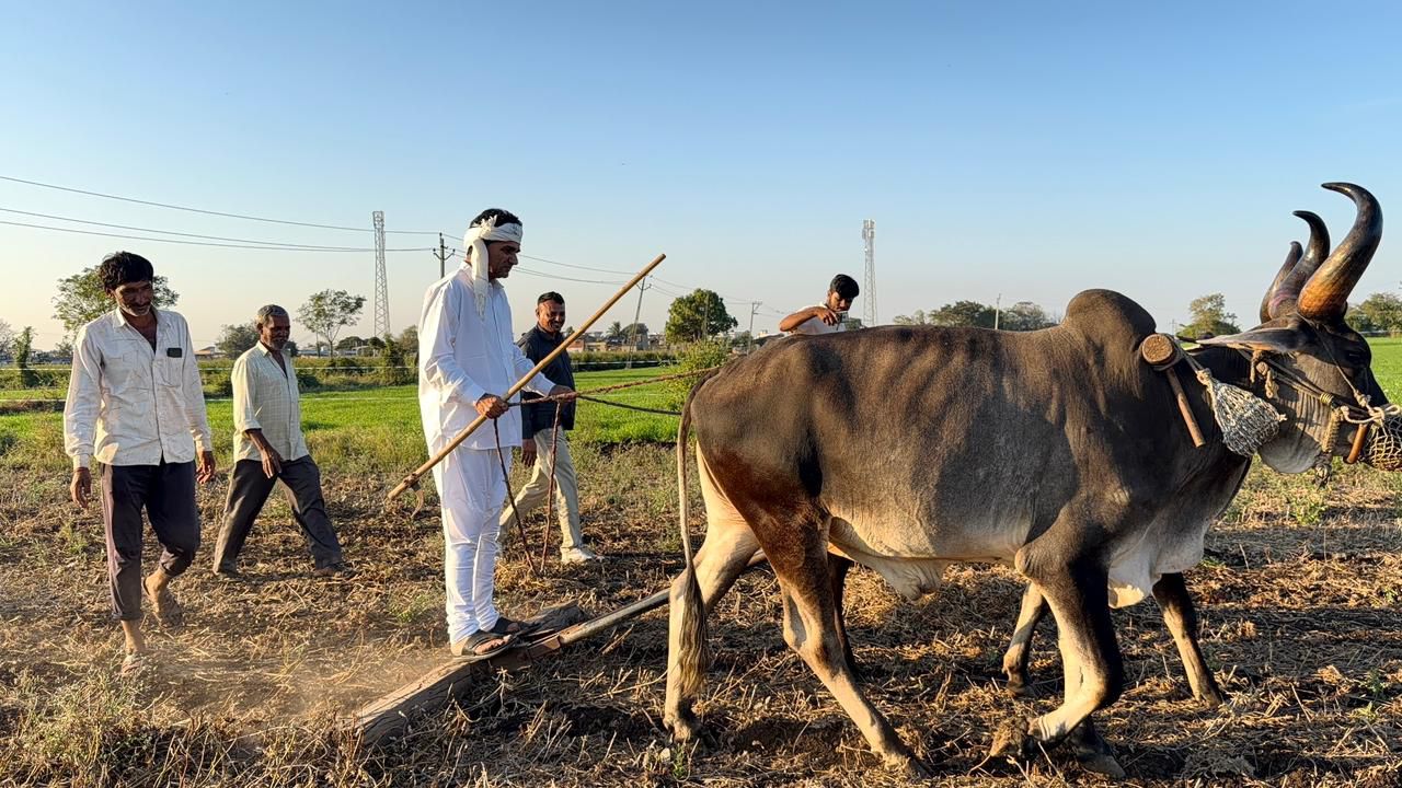 AAP नेता ईसुदान गढ़वी ने खेत जोतकर राष्ट्रीय किसान दिवस मनाया