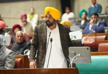 मुख्यमंत्री भगवंत मान ने कहा कि भाजपा ने एमजीएनआरईजीए योजना को खत्म कर दिया है और दलितों और गरीबों की रोजगार गारंटी छीन ली है।