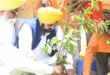 मान सरकार का ग्रीनिंग पंजाब मिशन :12,55,700 रिकॉर्ड वृक्षारोपण से पंजाब बना ग्रीन ज़ोन, राज्य की सबसे बड़ी पर्यावरणीय उपलब्धि!