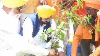 मान सरकार का ग्रीनिंग पंजाब मिशन :12,55,700 रिकॉर्ड वृक्षारोपण से पंजाब बना ग्रीन ज़ोन, राज्य की सबसे बड़ी पर्यावरणीय उपलब्धि!