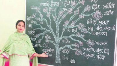 पंजाब सरकार की दूरदर्शी नीतियों का परिणाम: सरकारी स्कूल की शिक्षिका ने सोशल मीडिया पर जगाई पंजाबी भाषा की अलख, कईं हज़ार फॉलोअर्स तक पहुंची मातृभाषा की आवाज़